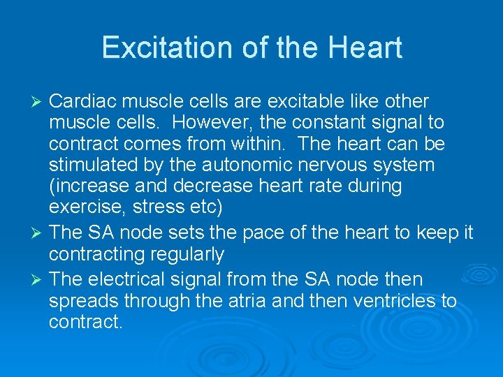 Excitation of the Heart Cardiac muscle cells are excitable like other muscle cells. However, Excitation of the Heart Cardiac muscle cells are excitable like other muscle cells. However,
