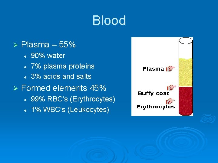 Blood Ø Plasma – 55% l l l Ø 90% water 7% plasma proteins Blood Ø Plasma – 55% l l l Ø 90% water 7% plasma proteins
