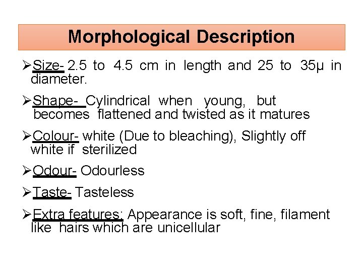 Morphological Description Size- 2. 5 to 4. 5 cm in length and 25 to