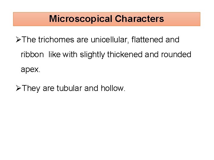 Microscopical Characters The trichomes are unicellular, flattened and ribbon like with slightly thickened and