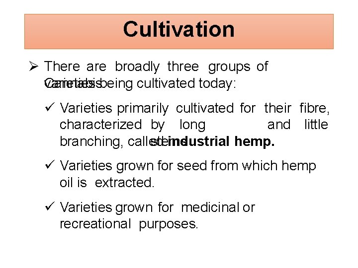 Cultivation There are broadly three groups of Cannabisbeing cultivated today: varieties Varieties primarily cultivated