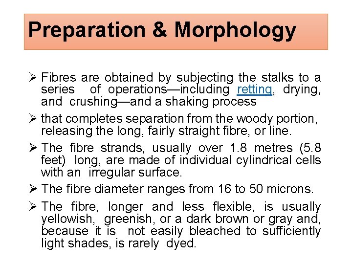 Preparation & Morphology Fibres are obtained by subjecting the stalks to a series of
