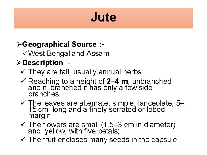 Jute Geographical Source : West Bengal and Assam. Description : They are tall, usually