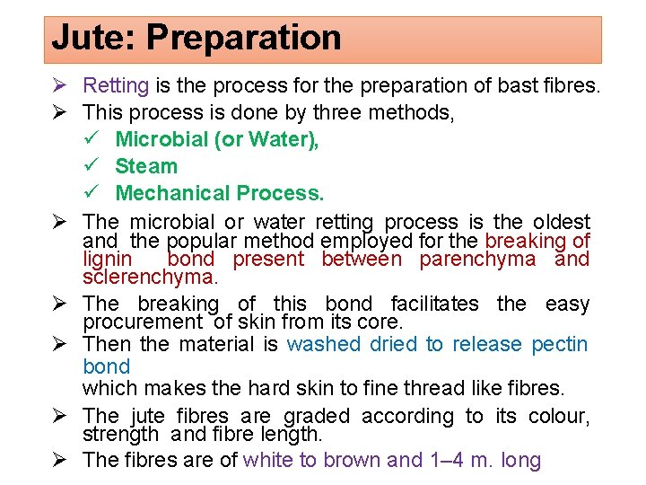 Jute: Preparation Retting is the process for the preparation of bast fibres. This process