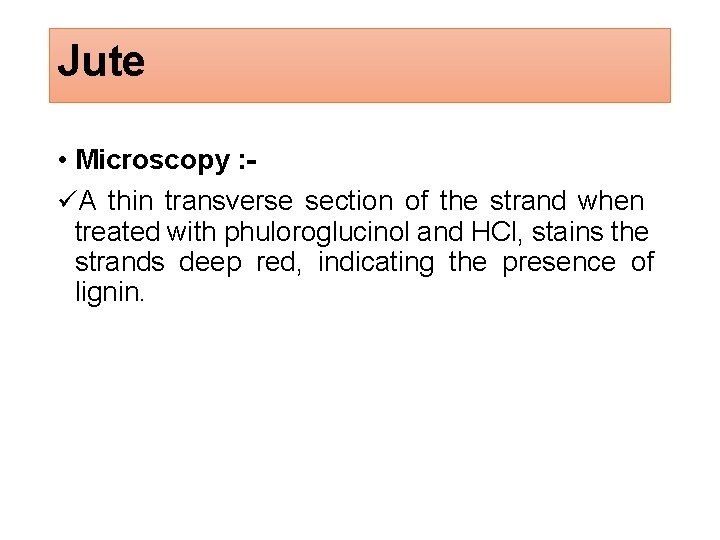 Jute • Microscopy : A thin transverse section of the strand when treated with