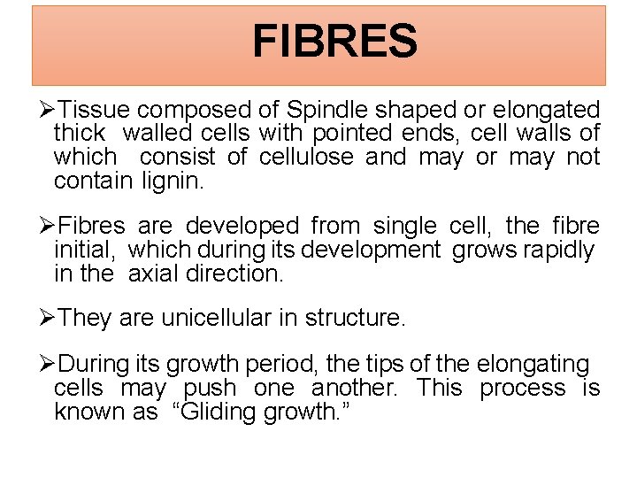 FIBRES Tissue composed of Spindle shaped or elongated thick walled cells with pointed ends,