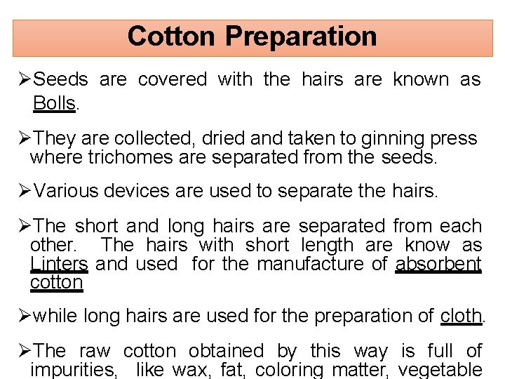 Cotton Preparation Seeds are covered with the hairs are known as Bolls. They are