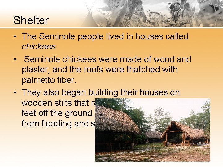 Shelter • The Seminole people lived in houses called chickees. • Seminole chickees were