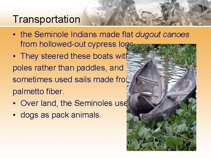 Transportation • the Seminole Indians made flat dugout canoes from hollowed-out cypress logs. •