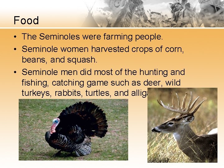 Food • The Seminoles were farming people. • Seminole women harvested crops of corn,