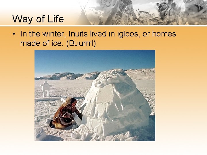 Way of Life • In the winter, Inuits lived in igloos, or homes made