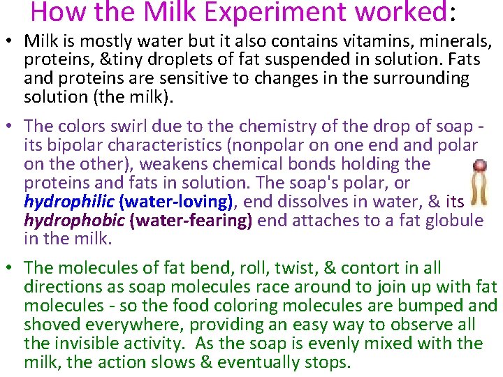 How the Milk Experiment worked: worked • Milk is mostly water but it also