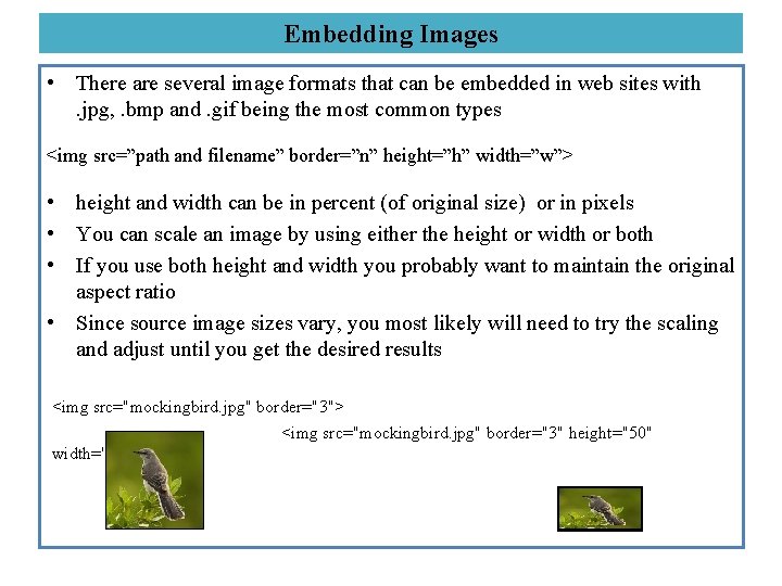 Embedding Images • There are several image formats that can be embedded in web