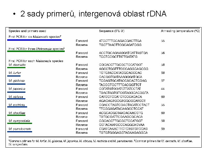  • 2 sady primerů, intergenová oblast r. DNA 