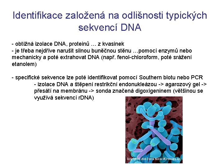 Identifikace založená na odlišnosti typických sekvencí DNA - obtížná izolace DNA, proteinů … z