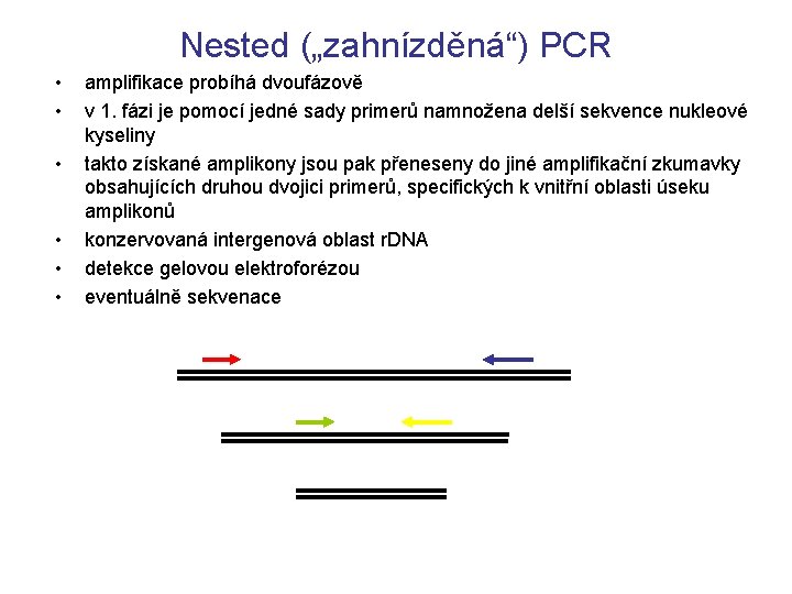 Nested („zahnízděná“) PCR • • • amplifikace probíhá dvoufázově v 1. fázi je pomocí