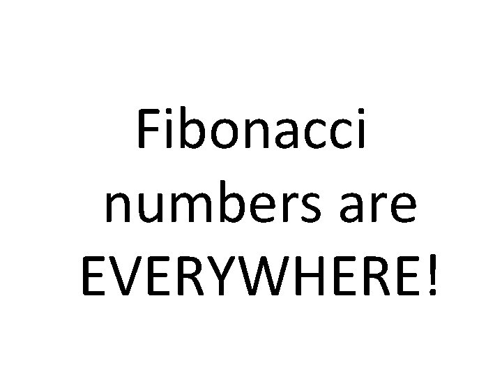 Fibonacci numbers are EVERYWHERE! 