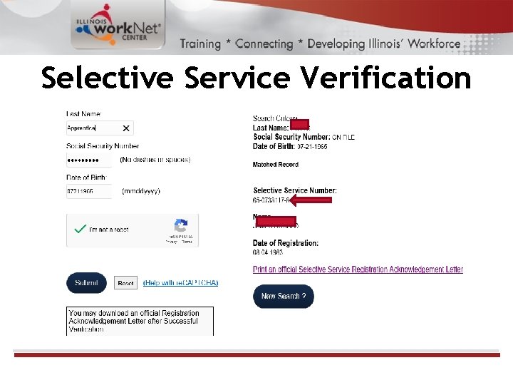 Selective Service Verification 