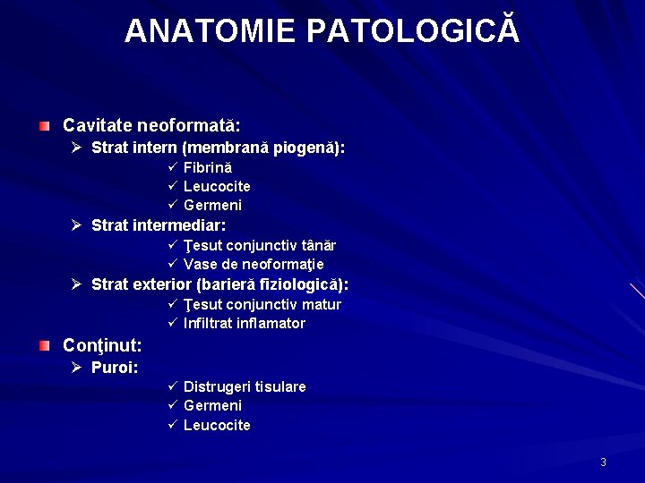 ANATOMIE PATOLOGICĂ Cavitate neoformată: Ø Strat intern (membrană piogenă): ü Fibrină ü Leucocite ü