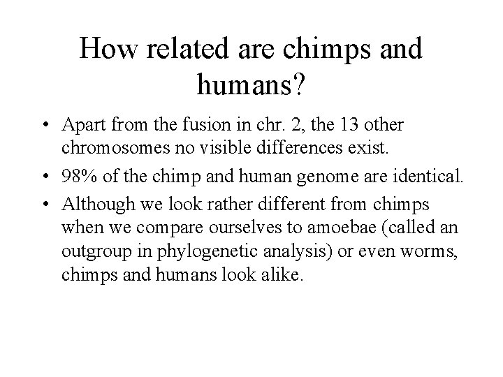 How related are chimps and humans? • Apart from the fusion in chr. 2,