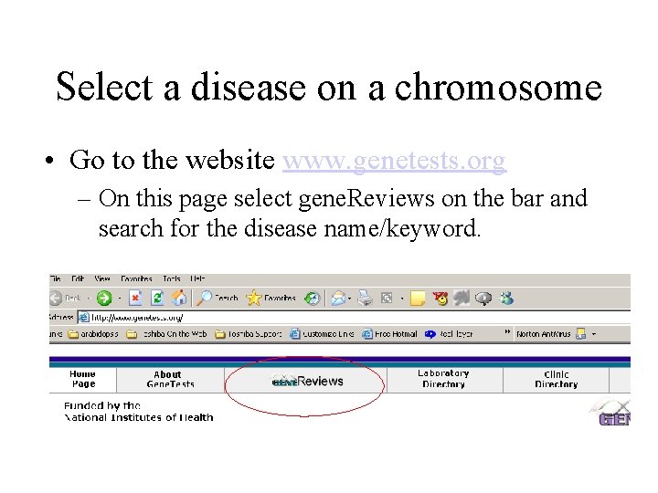 Select a disease on a chromosome • Go to the website www. genetests. org