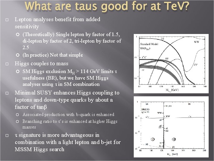 What are taus good for at Te. V? Lepton analyses benefit from added sensitivity