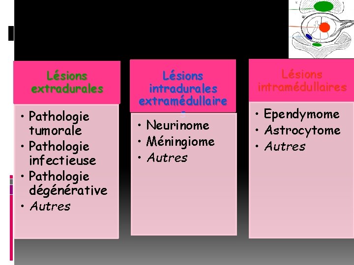 Lésions extradurales • Pathologie tumorale • Pathologie infectieuse • Pathologie dégénérative • Autres Lésions