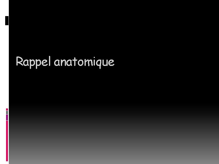 Rappel anatomique 