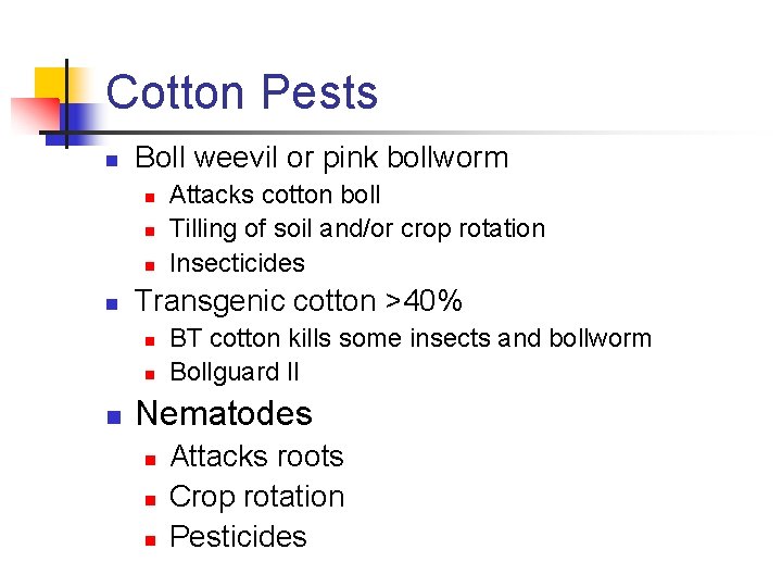 Cotton Pests n Boll weevil or pink bollworm n n Transgenic cotton >40% n