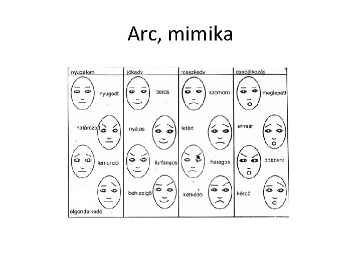 Arc, mimika 