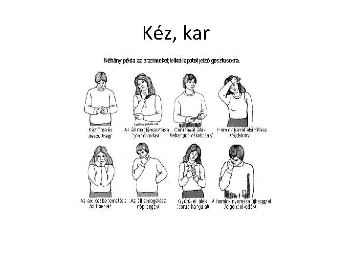 Kéz, kar 