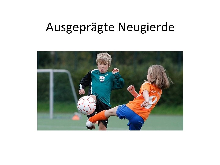 Ausgeprägte Neugierde 