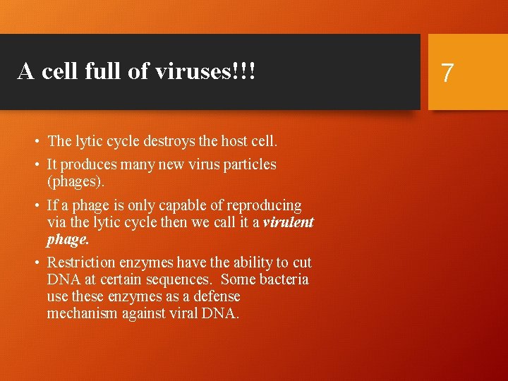 A cell full of viruses!!! • The lytic cycle destroys the host cell. •