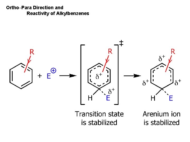 Ortho–Para Direction and Reactivity of Alkylbenzenes 