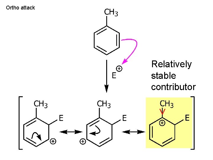 Ortho attack Relatively stable contributor 