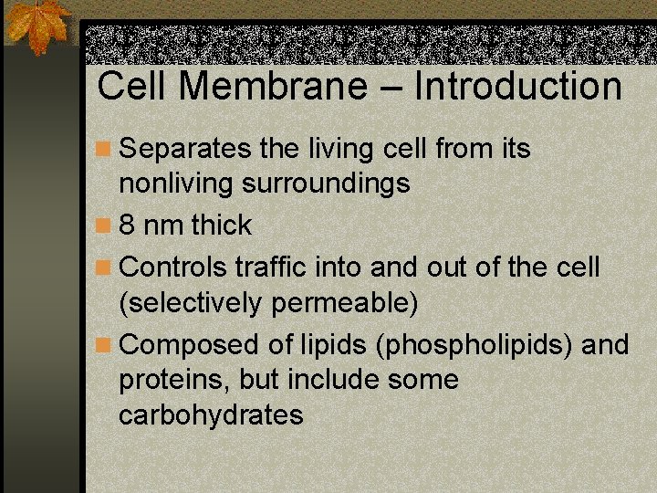 Cell Membrane – Introduction n Separates the living cell from its nonliving surroundings n