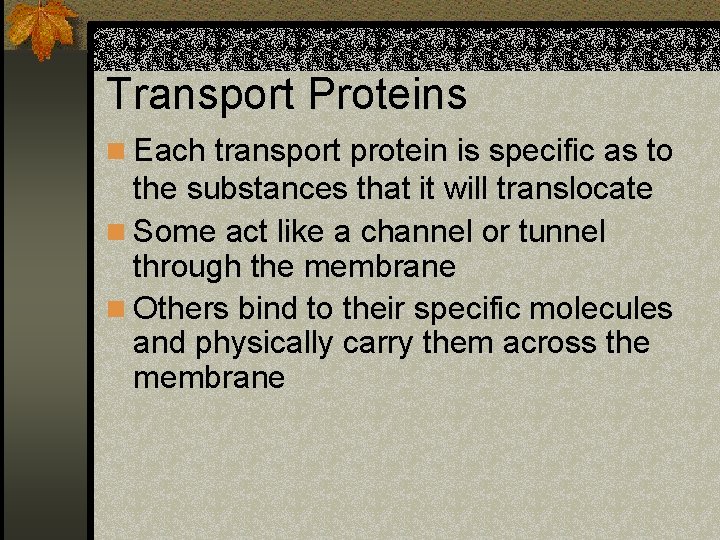 Transport Proteins n Each transport protein is specific as to the substances that it