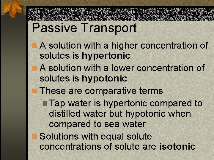 Passive Transport n A solution with a higher concentration of solutes is hypertonic n