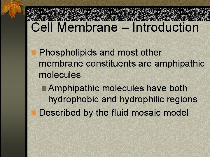 Cell Membrane – Introduction n Phospholipids and most other membrane constituents are amphipathic molecules