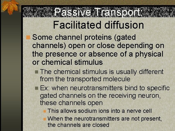 Passive Transport: Facilitated diffusion n Some channel proteins (gated channels) open or close depending