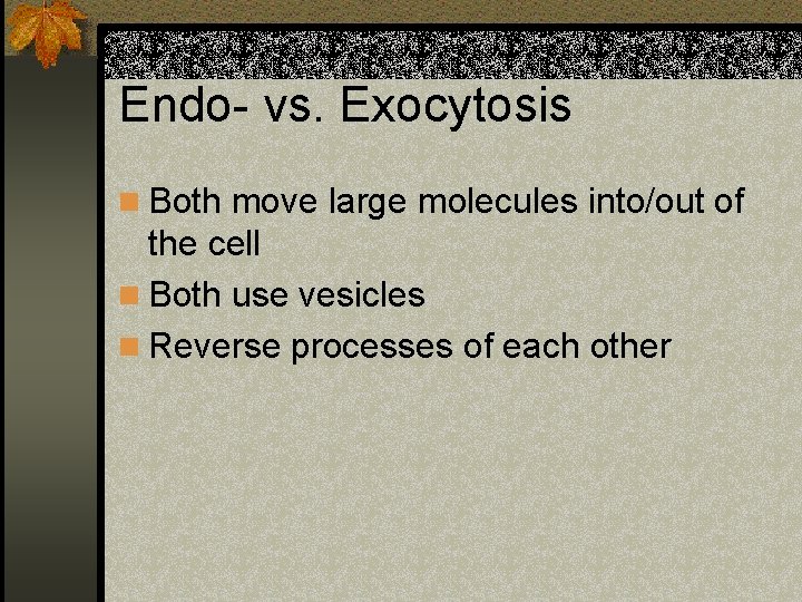 Endo- vs. Exocytosis n Both move large molecules into/out of the cell n Both