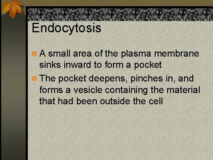 Endocytosis n A small area of the plasma membrane sinks inward to form a