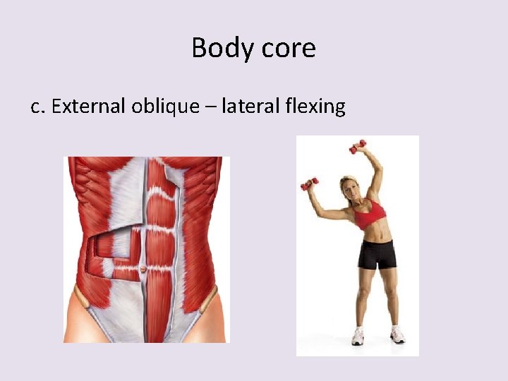 Body core c. External oblique – lateral flexing 