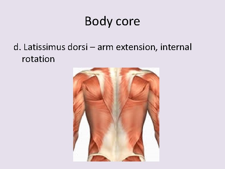 Body core d. Latissimus dorsi – arm extension, internal rotation 