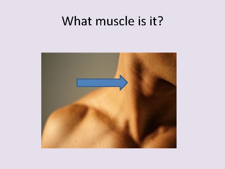 What muscle is it? 