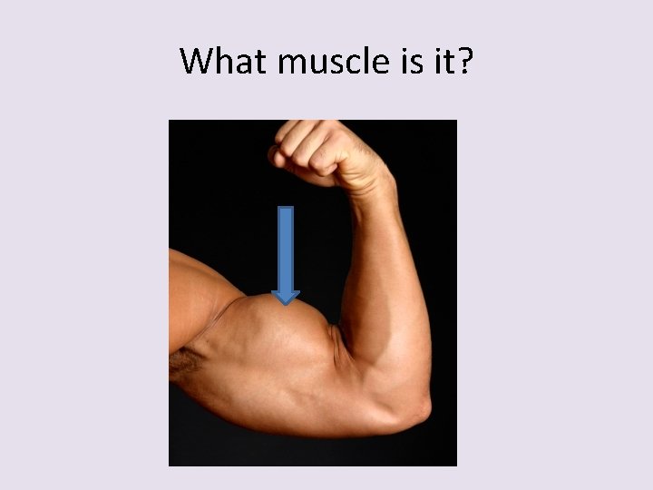 What muscle is it? 