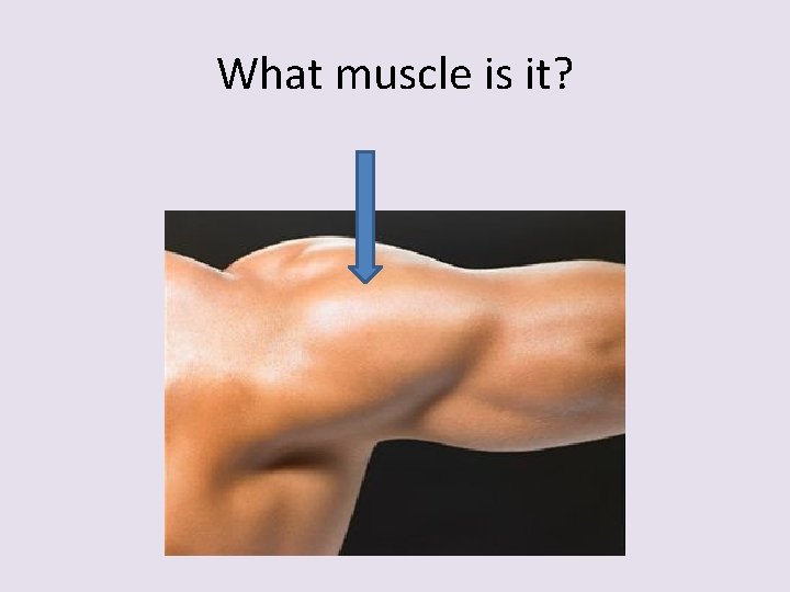 What muscle is it? 