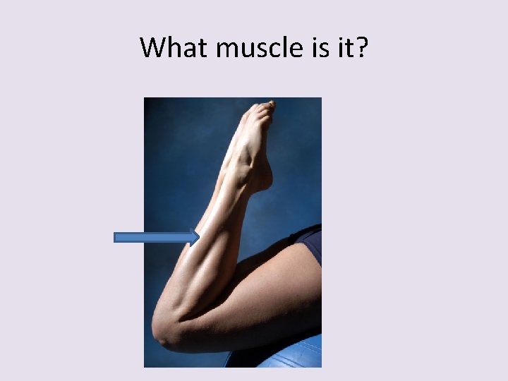 What muscle is it? 