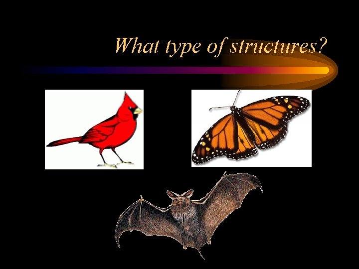What type of structures? 