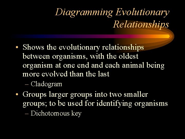 Diagramming Evolutionary Relationships • Shows the evolutionary relationships between organisms, with the oldest organism